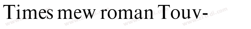 Times mew roman Touv字体转换
